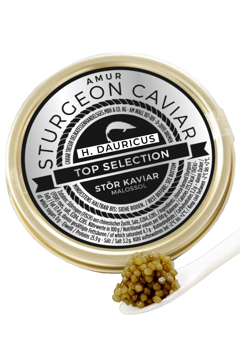 Chinese Imperial Schrencki x Dauricus caviar