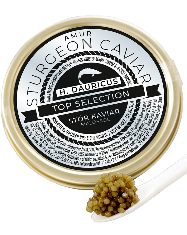 Chin. Kaluga Imperial ( v. Huso Dauricus Stör)