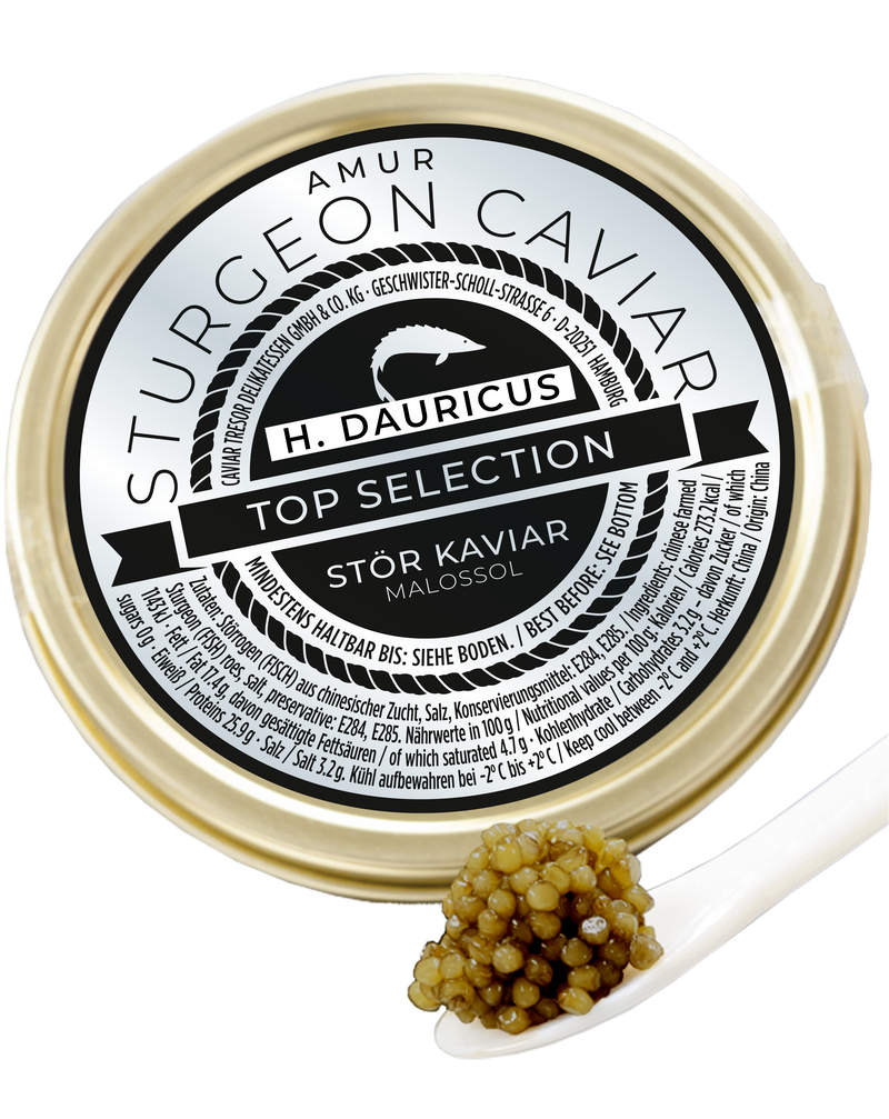 Chin. Kaluga Imperial (v. Huso Dauricus Stör)