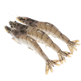 Riesengarnelen, Wildfang (2-4er), ca. 800g Gratis dazu:  Kaviar Perlmuttlöffel 