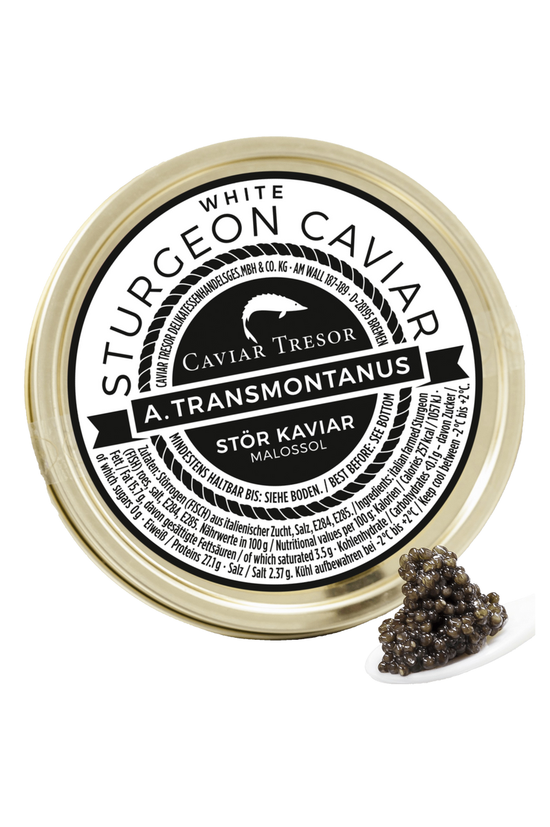 Italian Ossietra v. white sturgeon caviar